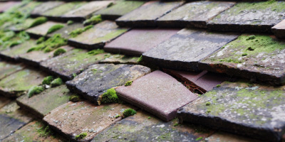 Llanwnnen roof repair costs